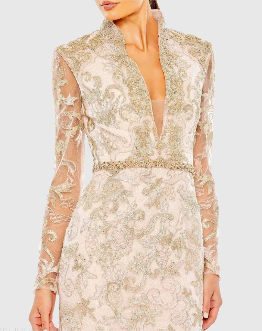 Pink Queen Anne Lace Long Sleeve V-Neck Trumpet  Gown